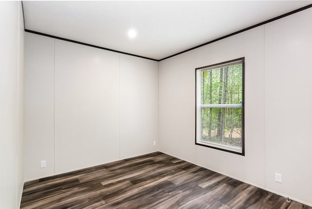 251 Ebenezer Rd, Ellijay, GA 30536 - spare room featuring dark wood-type flooring