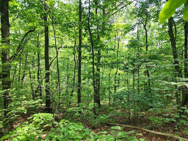 LT211 Northview Pkwy, Ellijay, GA 30536