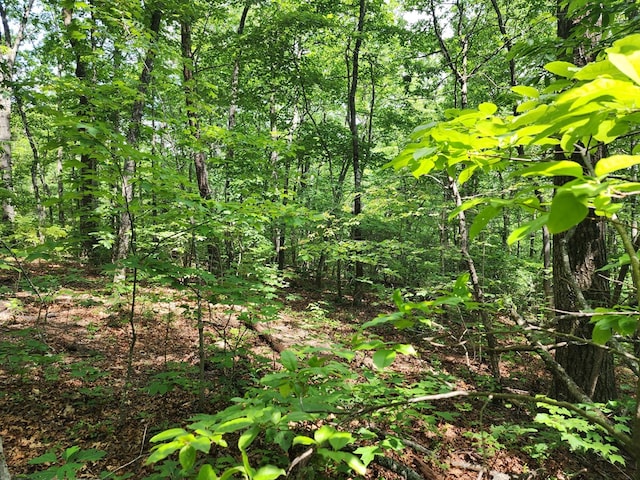 LT211 Northview Pkwy, Ellijay, GA 30536
