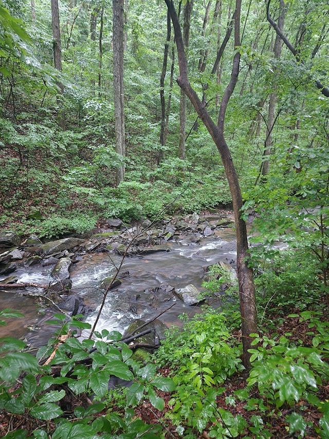 LT211 Northview Pkwy, Ellijay, GA 30536