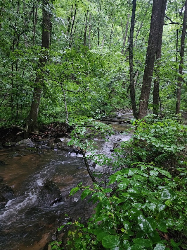 LT211 Northview Pkwy, Ellijay, GA 30536