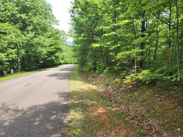 LT211 Northview Pkwy, Ellijay, GA 30536
