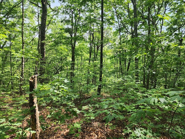 LT211 Northview Pkwy, Ellijay, GA 30536