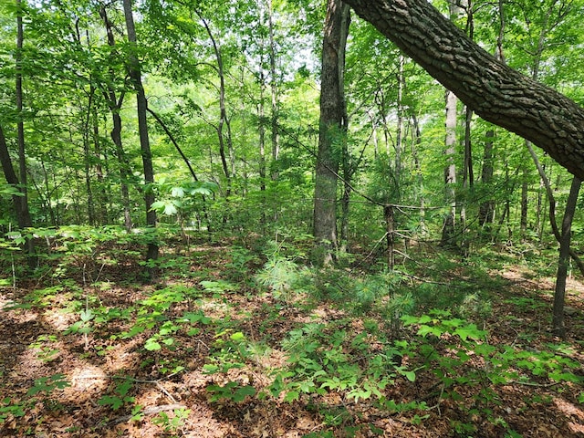 LT211 Northview Pkwy, Ellijay, GA 30536