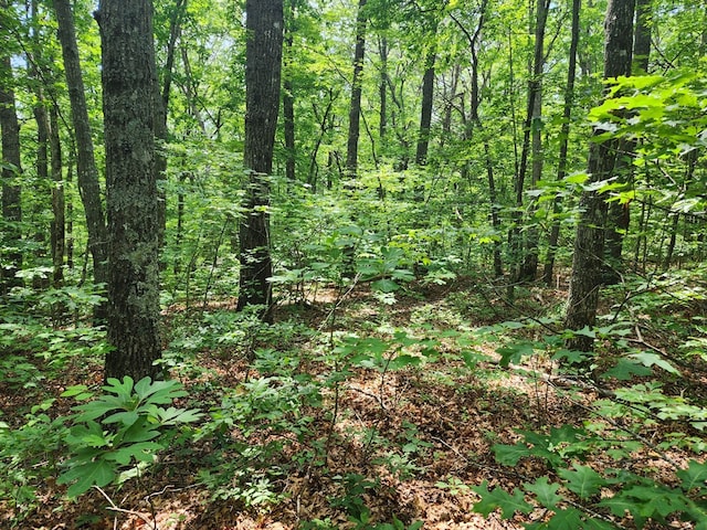 LT211 Northview Pkwy, Ellijay, GA 30536