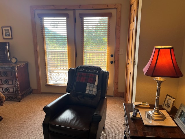 living area featuring carpet flooring