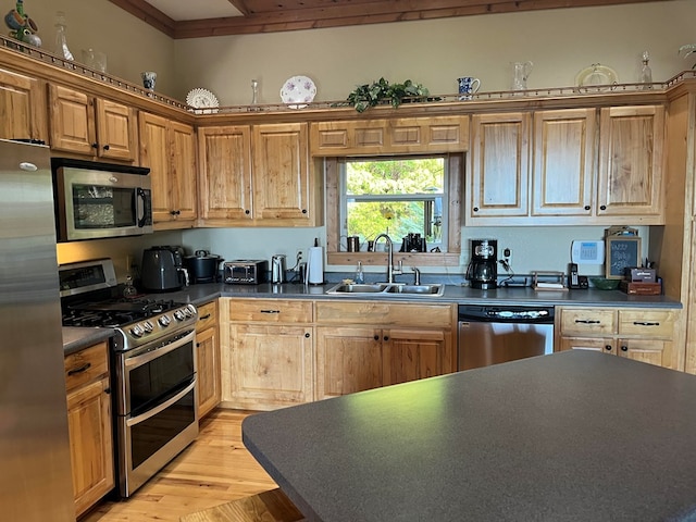 kitchen with light hardwood / wood-style floors, stainless steel appliances, and sink