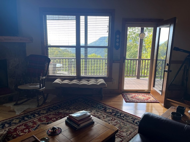 living room with hardwood / wood-style flooring