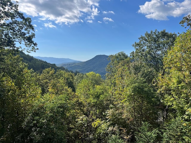 property view of mountains