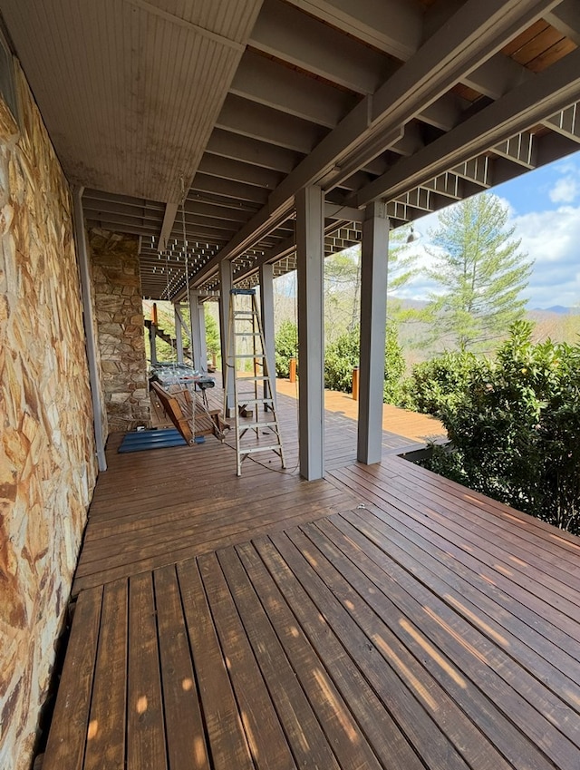 369 Deals Gap Rd, Robbinsville, NC 28771 - view of deck