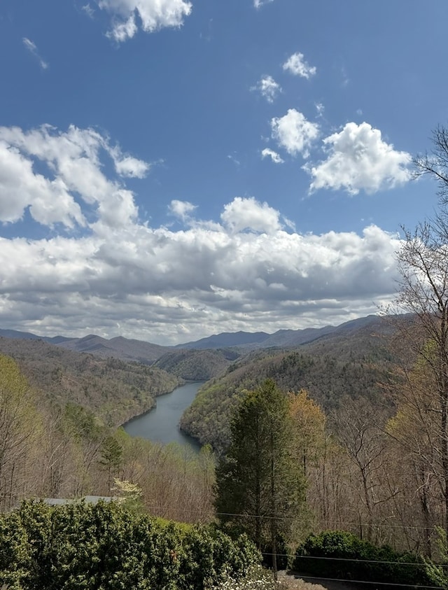 369 Deals Gap Rd, Robbinsville, NC 28771 - mountain view with a wooded view and a water view