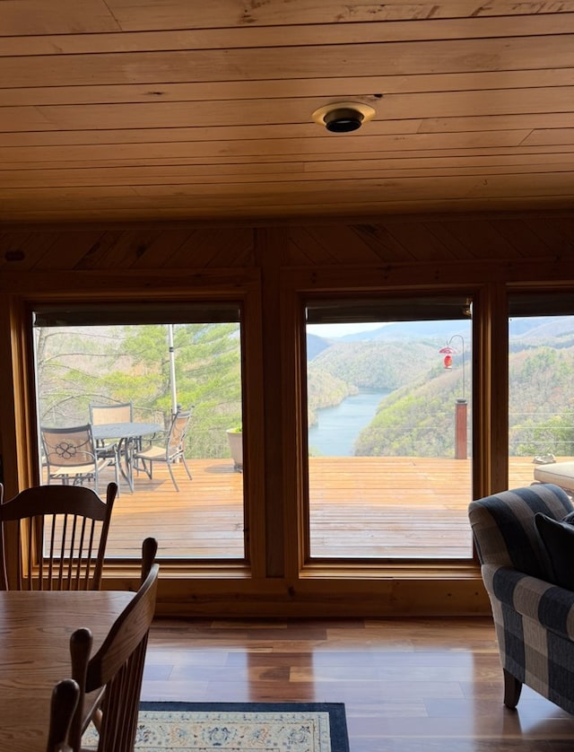 369 Deals Gap Rd, Robbinsville, NC 28771 - details with wooden ceiling and wood finished floors