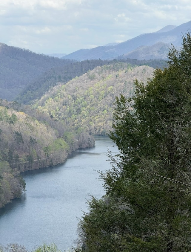 369 Deals Gap Rd, Robbinsville, NC 28771 - property view of water featuring a view of trees and a mountain view