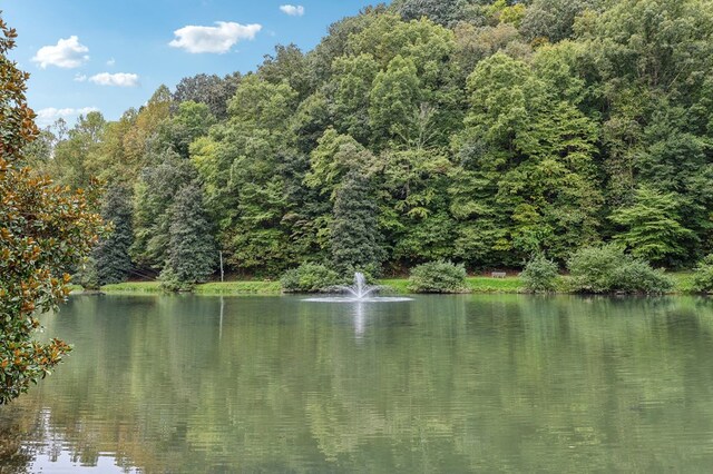 view of water feature