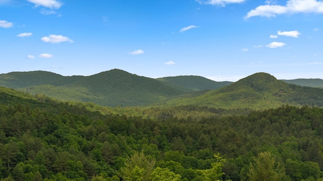 9 Quail Holw, Blue Ridge, GA 30513 - view of mountain backdrop featuring a heavily wooded area