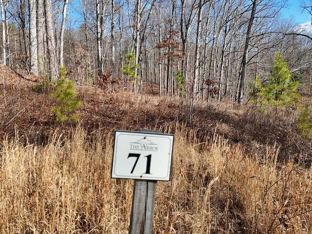 LOT71 Arbor Ln, Blairsville GA, 30512 land for sale