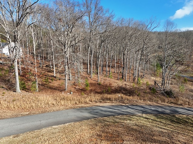 Listing photo 2 for LOT71 Arbor Ln, Blairsville GA 30512