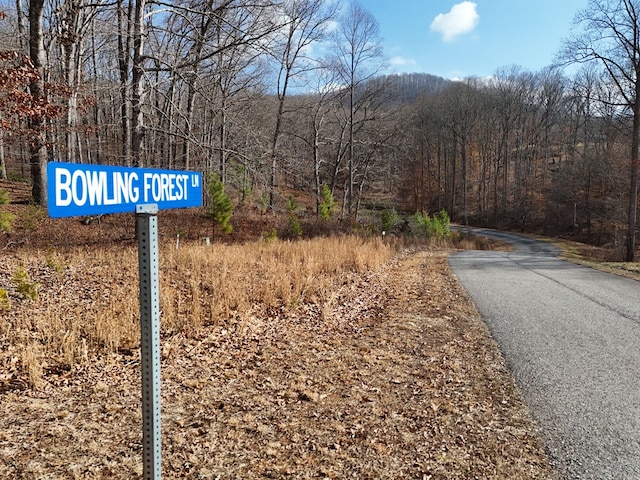 Listing photo 3 for LOT71 Arbor Ln, Blairsville GA 30512