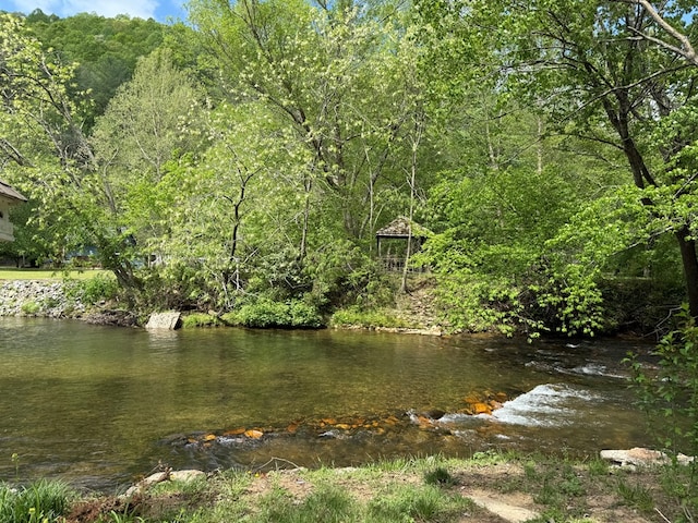 property view of water with a view of trees
