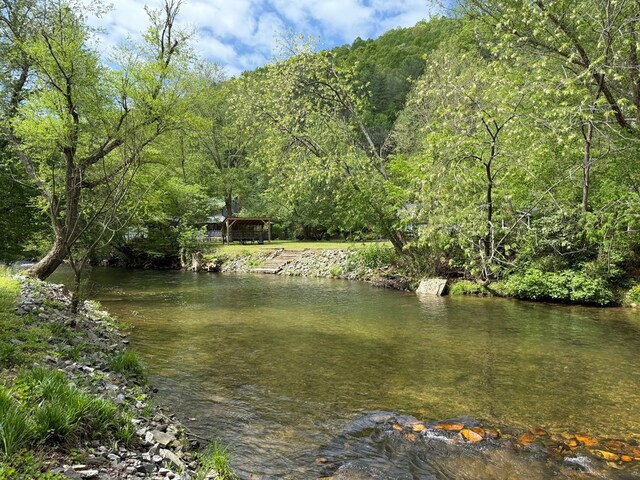 view of yard featuring a forest view