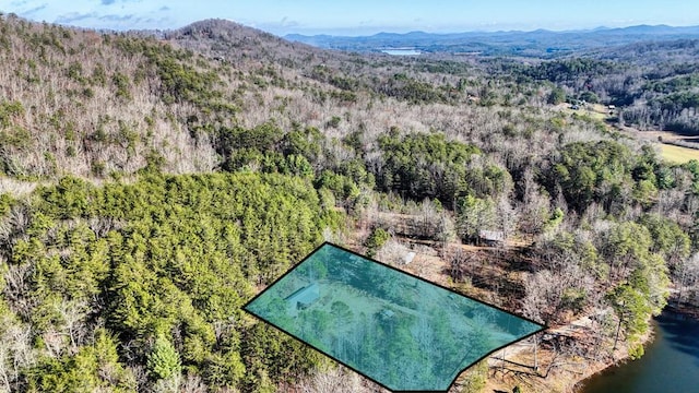 bird's eye view featuring a mountain view