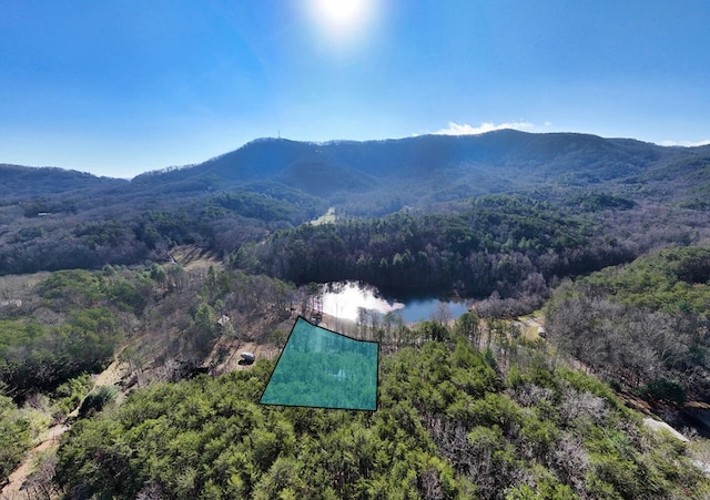 birds eye view of property with a water and mountain view