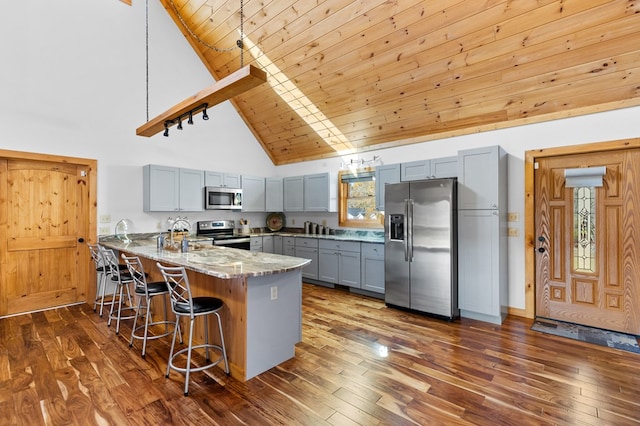 kitchen featuring dark hardwood / wood-style floors, kitchen peninsula, stainless steel appliances, light stone counters, and high vaulted ceiling