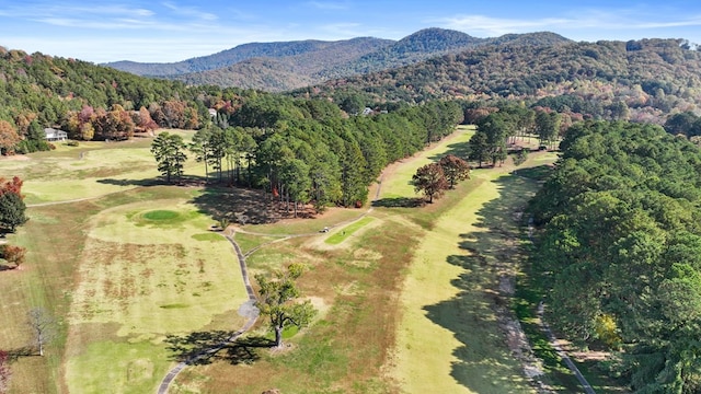 birds eye view of property featuring a mountain view