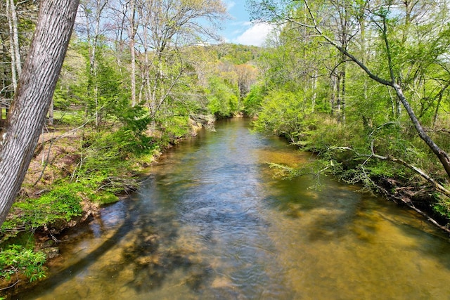 view of water feature with a view of trees