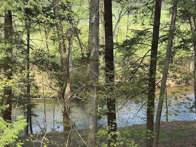 water view with a forest view