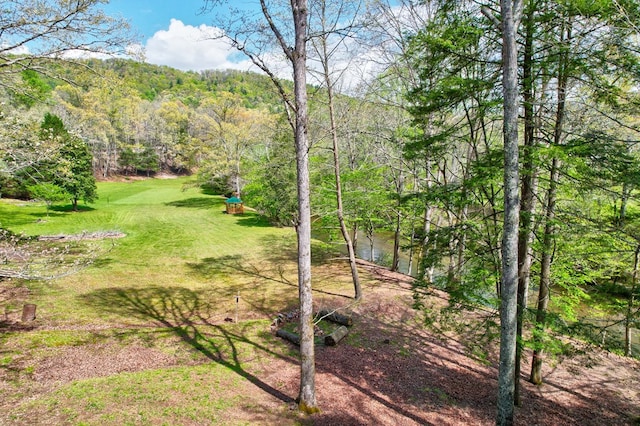 view of yard featuring a wooded view
