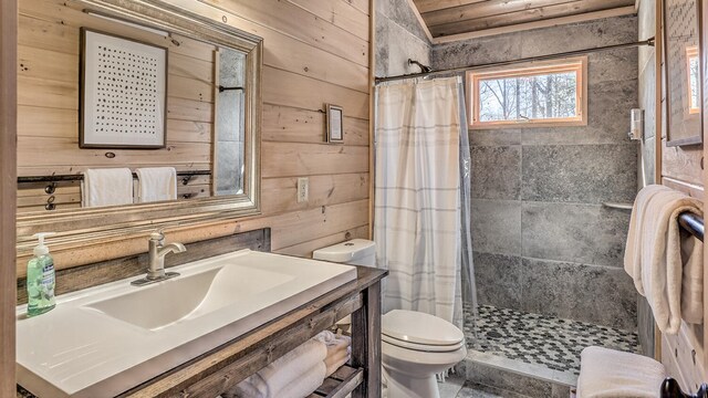 150 Laurel Trce, Blue Ridge, GA 30513 - full bath featuring wood walls, toilet, vanity, and a tile shower