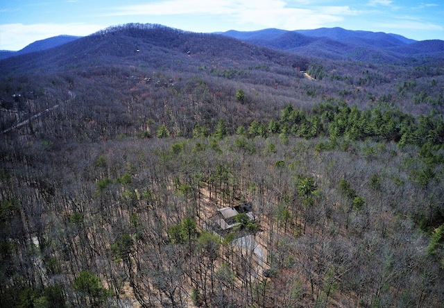 150 Laurel Trce, Blue Ridge, GA 30513 - mountain view featuring a forest