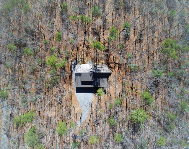 150 Laurel Trce, Blue Ridge, GA 30513 - aerial overview of property's location