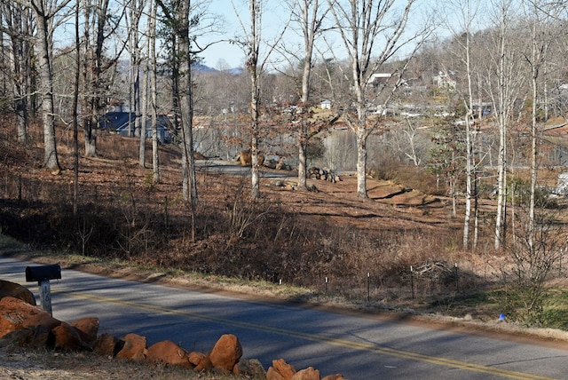 16 Sims Rd, Hiawassee, GA 30546 - view of road