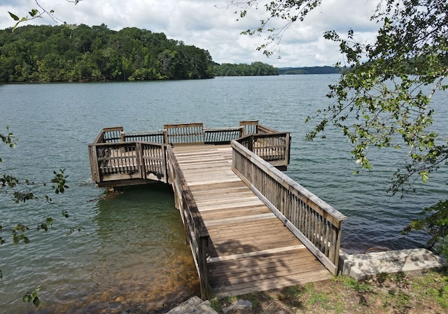 16 Sims Rd, Hiawassee, GA 30546 - view of dock featuring a water view and a wooded view