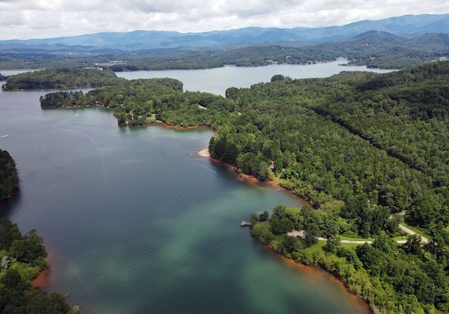 16 Sims Rd, Hiawassee, GA 30546 - drone / aerial view featuring a wooded view and a water and mountain view