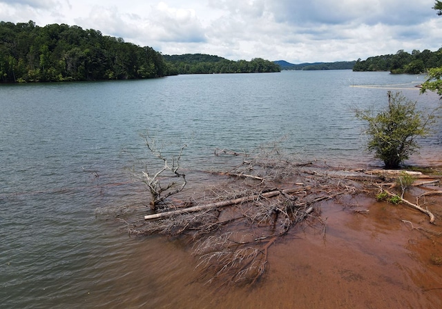 16 Sims Rd, Hiawassee, GA 30546 - view of water feature with a forest view