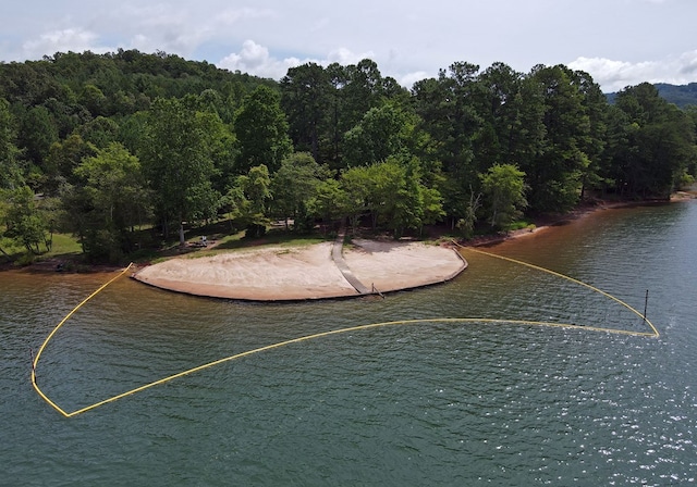 16 Sims Rd, Hiawassee, GA 30546 - view of water feature with a forest view