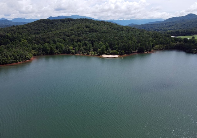16 Sims Rd, Hiawassee, GA 30546 - birds eye view of property with a wooded view and a water and mountain view