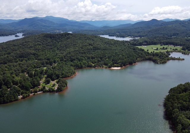 16 Sims Rd, Hiawassee, GA 30546 - bird's eye view featuring a water and mountain view and a view of trees