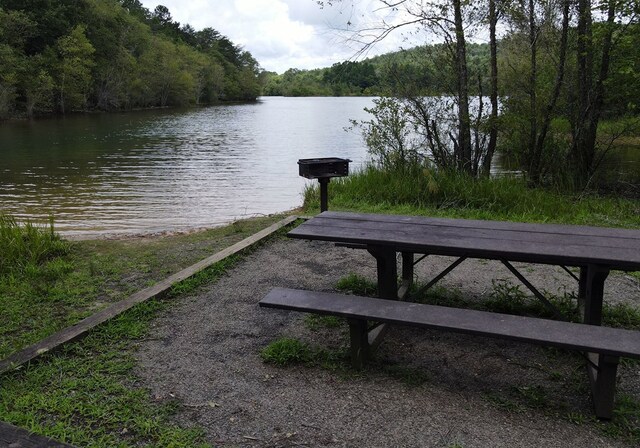 16 Sims Rd, Hiawassee, GA 30546 - view of home's community featuring a water view and a view of trees