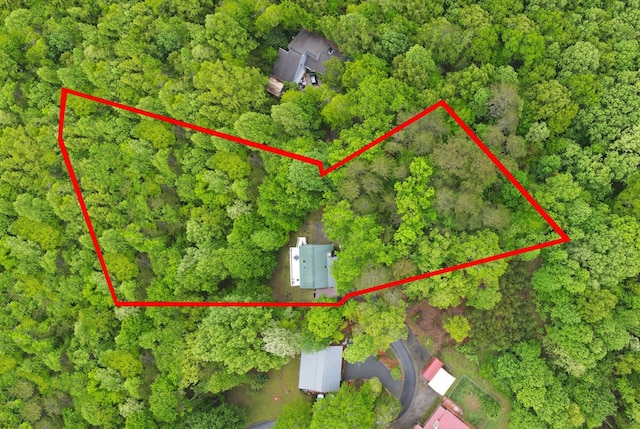drone / aerial view