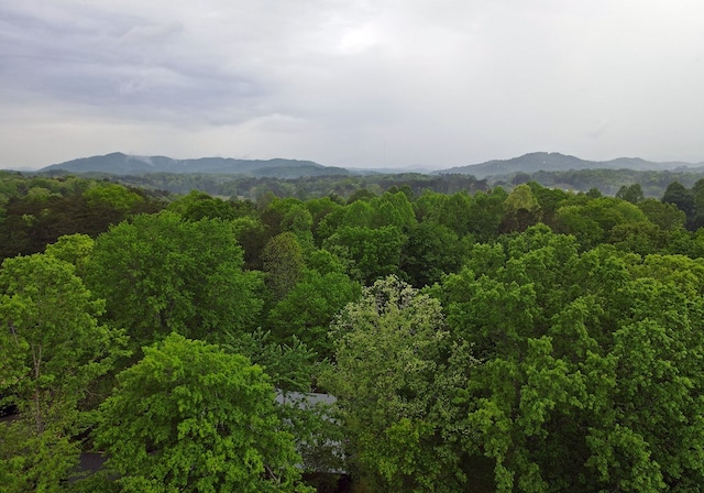 property view of mountains featuring a wooded view