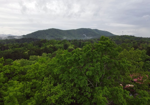 mountain view with a view of trees
