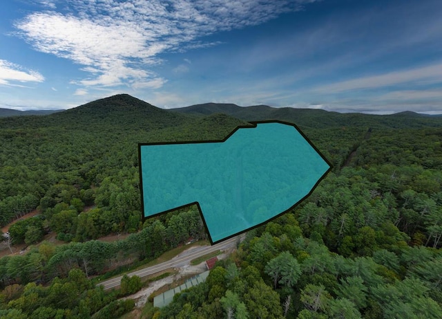 24481 Morganton Hwy, Suches GA, 30572 land for sale