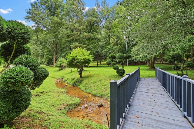 view of community with a yard