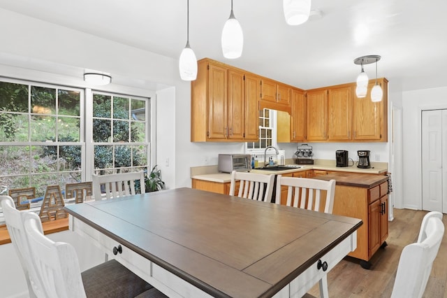 kitchen featuring hanging light fixtures, sink, and light wood-type flooring