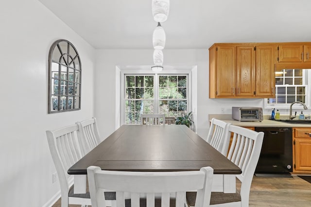 dining room with sink and light hardwood / wood-style floors