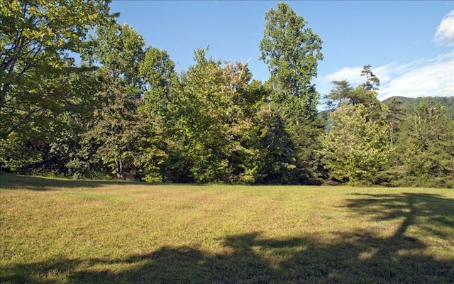 71A Licklog Rdg, Hayesville NC, 28904 land for sale